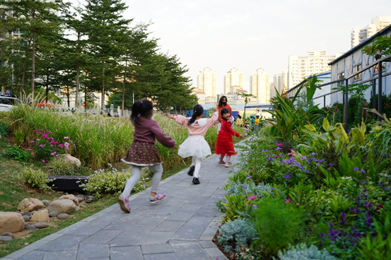 景观实践｜笋岗火车花园，家门口畅想自然的活力场域