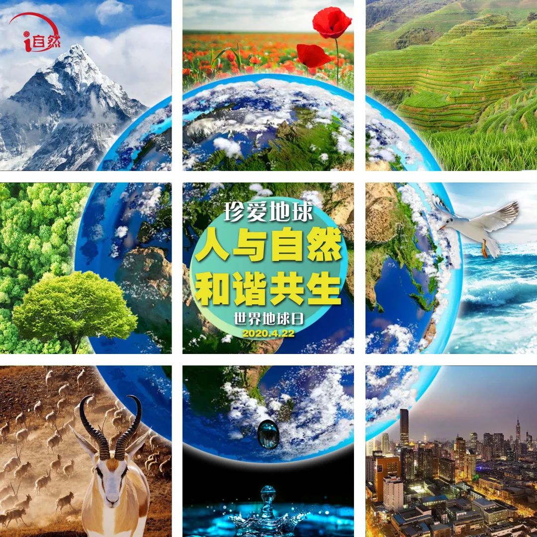 这篇推送，我们耗时整两年！