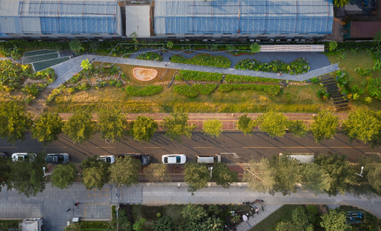 景观实践｜笋岗火车花园，家门口畅想自然的活力场域