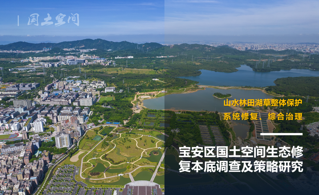 规划服务中国：共创高质量城市未来