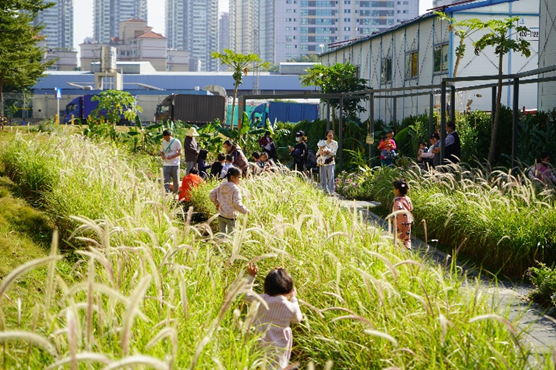 景观实践｜笋岗火车花园，家门口畅想自然的活力场域