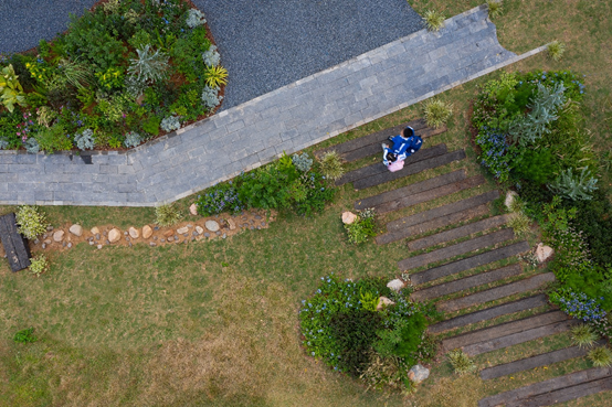 景观实践｜笋岗火车花园，家门口畅想自然的活力场域