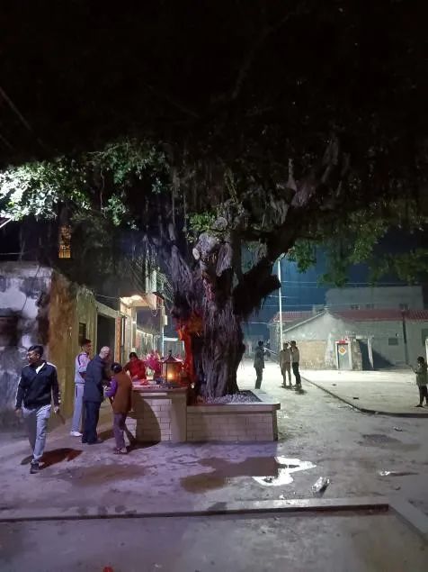 拜神悖论:潮汕平时拜神的女性比男性多,但求年签时拜神的男性更多 拜神悖论:潮汕平时拜神的女性比男性多,但求年签时拜神的男性更多