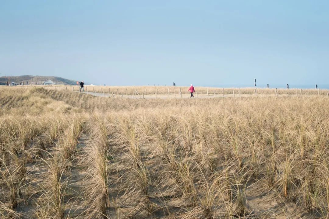 现代城市需要怎样的停车场？在水泥地上画框的时代该翻篇了！