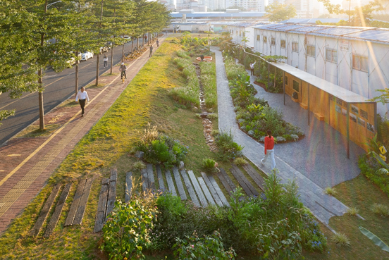景观实践｜笋岗火车花园，家门口畅想自然的活力场域