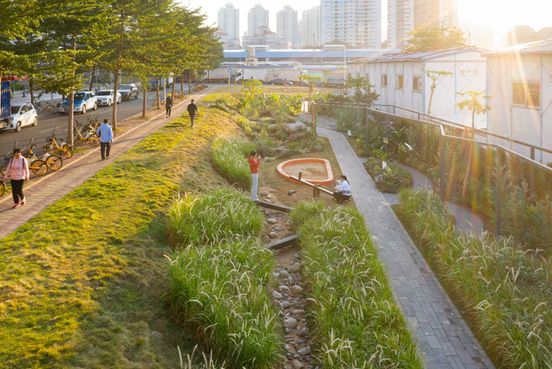 景观实践｜笋岗火车花园，家门口畅想自然的活力场域