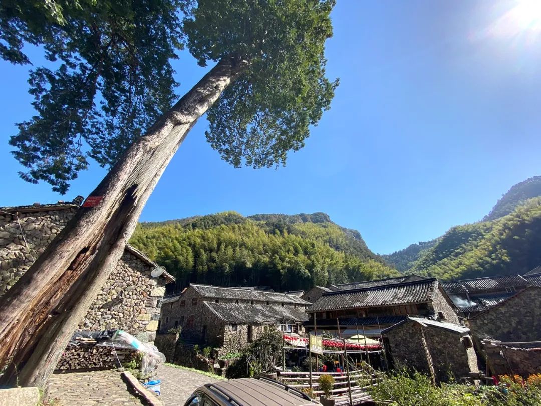 【遗珠拾粹】国家历史文化名城研究中心历史街区调研 —— 浙江省丽水市缙云县岩下村