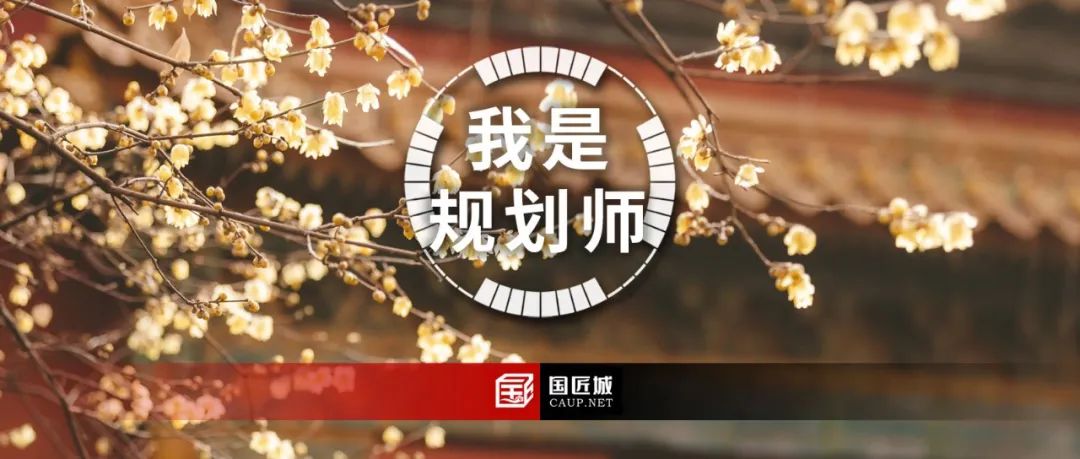 《我是规划师》第二季视频完整版全集
