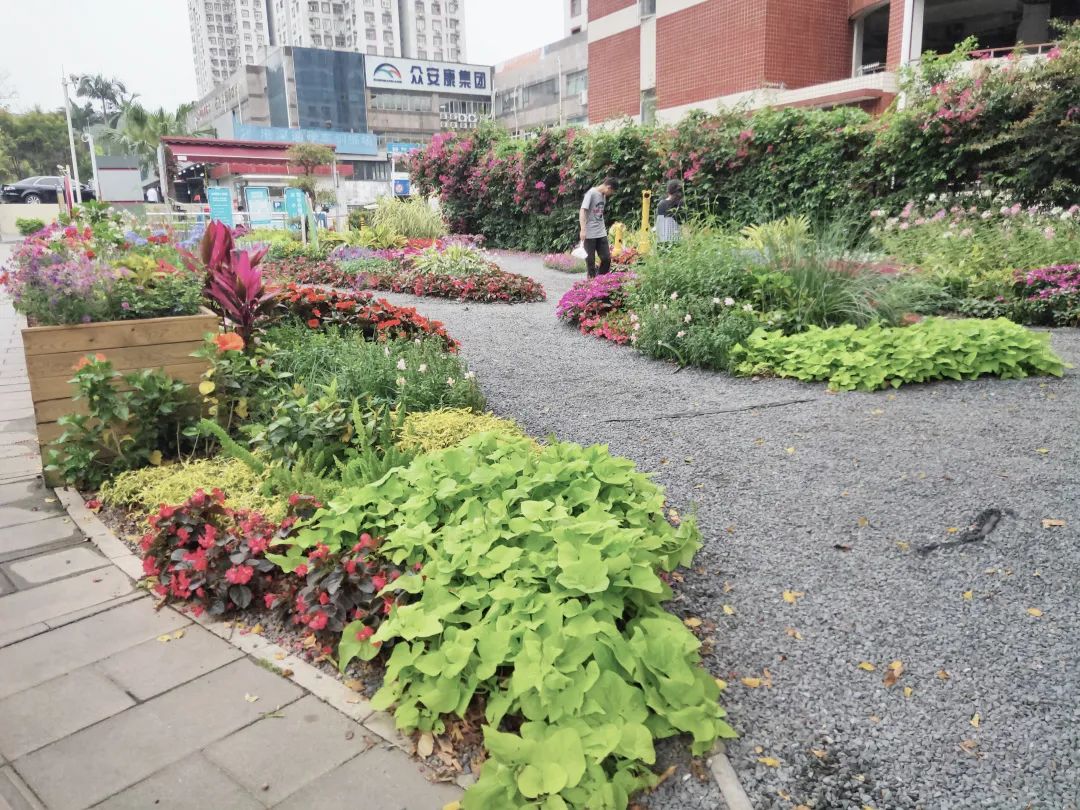 城市更新丨深圳市福田区共建口袋公园更新改造路径研究 城市更新丨深圳市福田区共建口袋公园更新改造路径研究