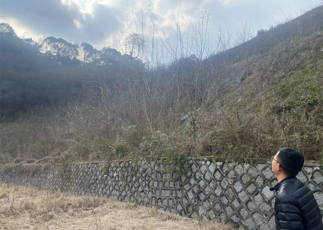 未雨绸缪︱市规划资源局滨江分局开展汛前地质灾害安全隐患大排查工作 未雨绸缪︱市规划资源局滨江分局开展汛前地质灾害安全隐患大排查工作