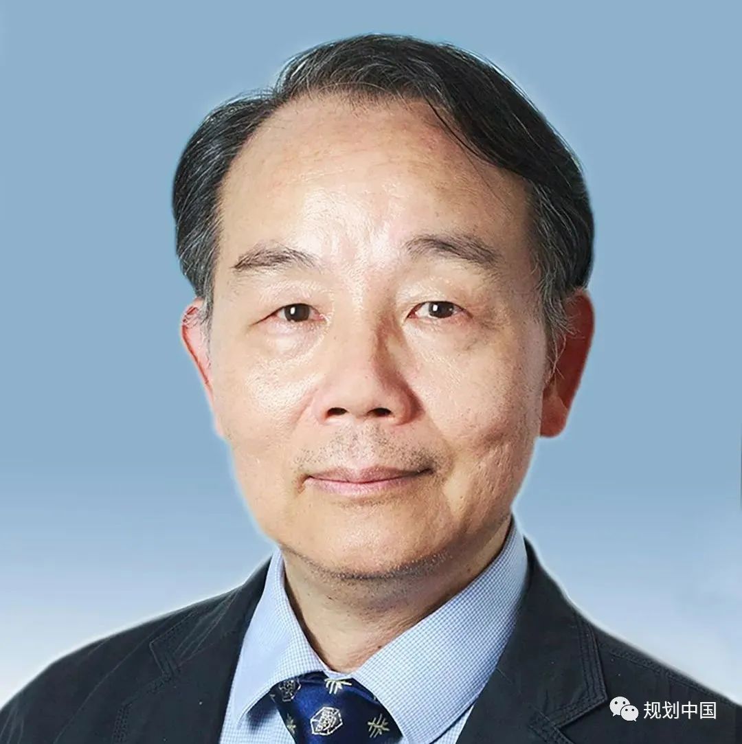 王建国：新洞见、新趋势——以人为本城市设计的数字化呈现