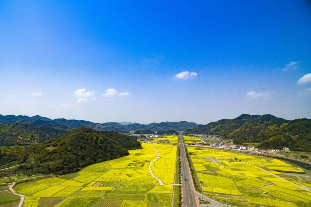 浙江推出耕地保护10项措施