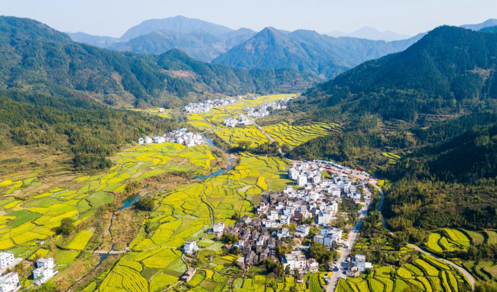 建德市《寿昌镇西华（单元）村庄规划》入选自然资源部第一批国土空间规划优秀案例！