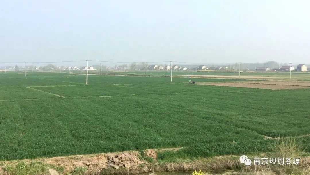 从十年的中央一号文件看南京耕地保护 从十年的中央一号文件看南京耕地保护