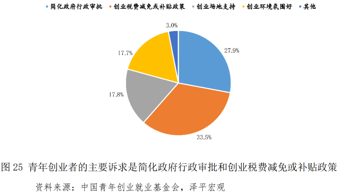 中国青年创业发展报告（2021）