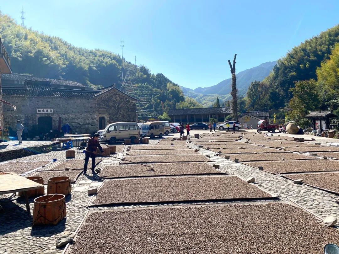 【遗珠拾粹】国家历史文化名城研究中心历史街区调研 —— 浙江省丽水市缙云县岩下村