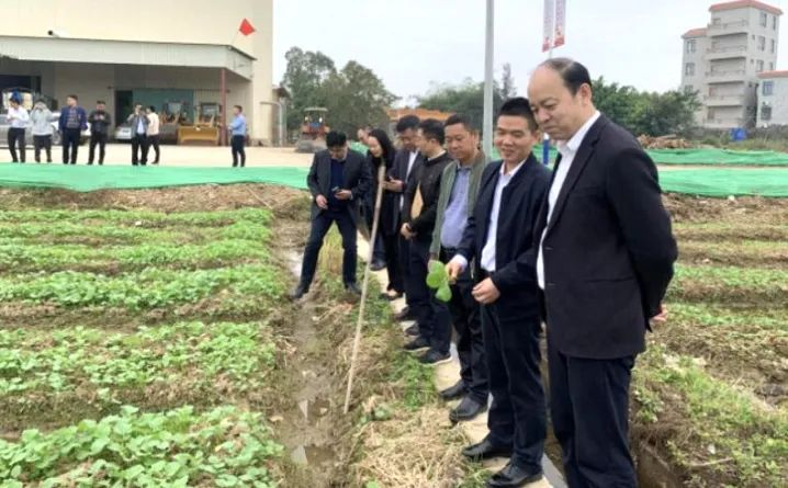 湛江南兴镇“作战图”诞生小记 湛江南兴镇“作战图”诞生小记