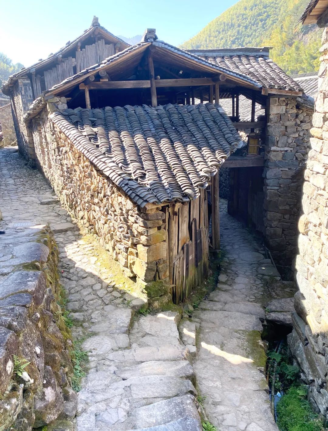 【遗珠拾粹】国家历史文化名城研究中心历史街区调研 —— 浙江省丽水市缙云县岩下村