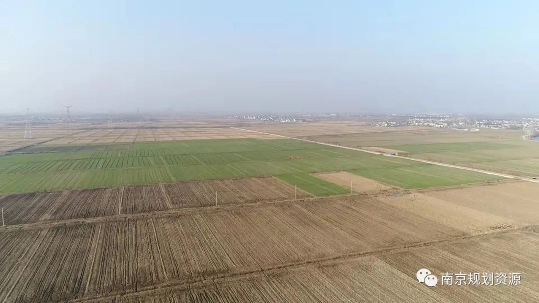 从十年的中央一号文件看南京耕地保护 从十年的中央一号文件看南京耕地保护
