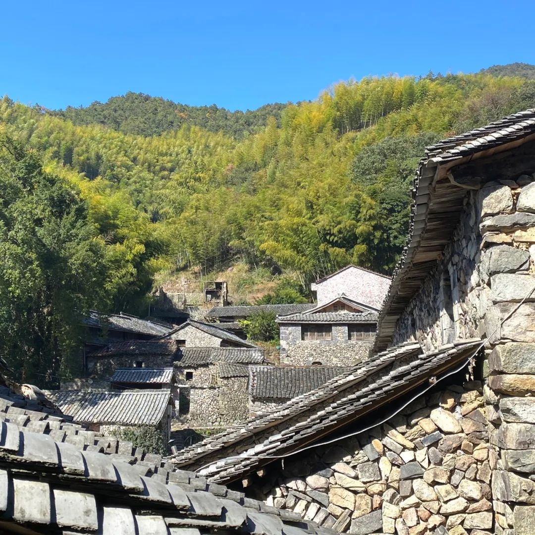 【遗珠拾粹】国家历史文化名城研究中心历史街区调研 —— 浙江省丽水市缙云县岩下村