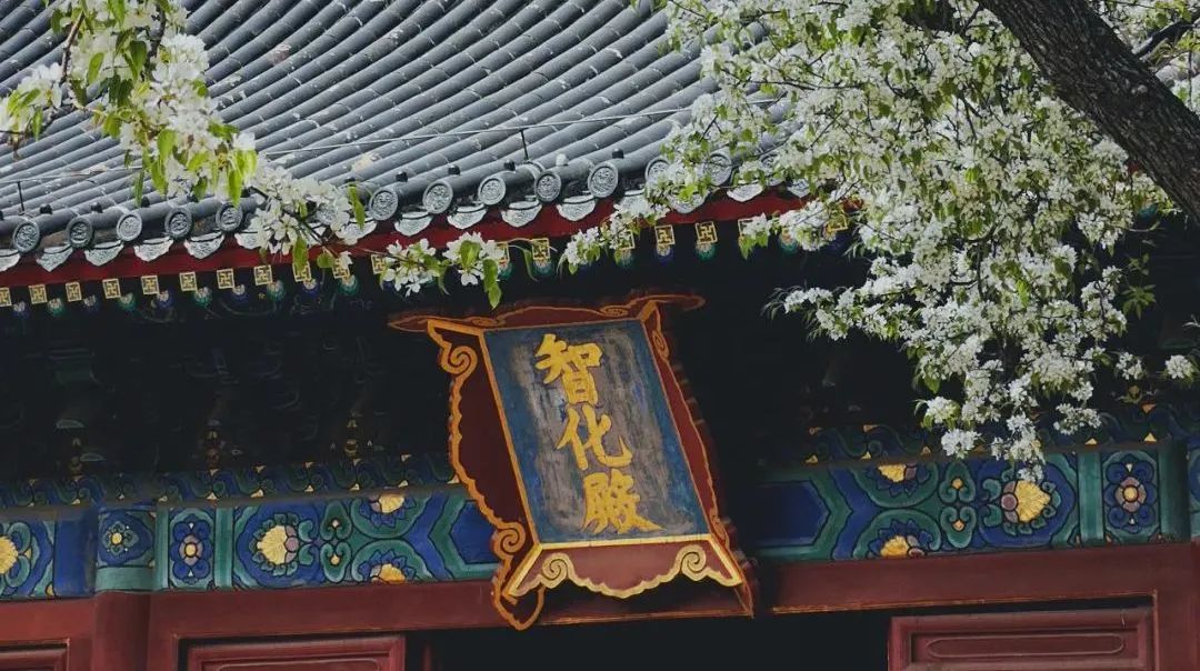 京城古迹丨智化寺,出世入世间 京城古迹丨智化寺,出世入世间