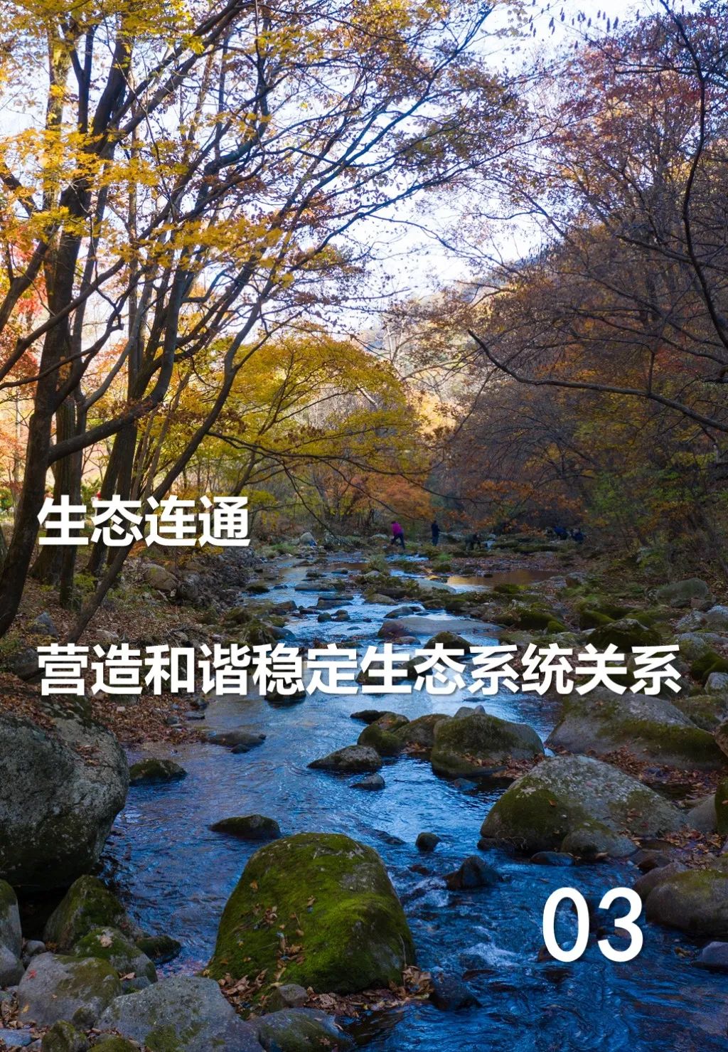 最新发布:辽宁省国土空间生态修复规划(2021-2035年)公开征求意见版 最新发布:辽宁省国土空间生态修复规划(2021-2035年)公开征求意见版