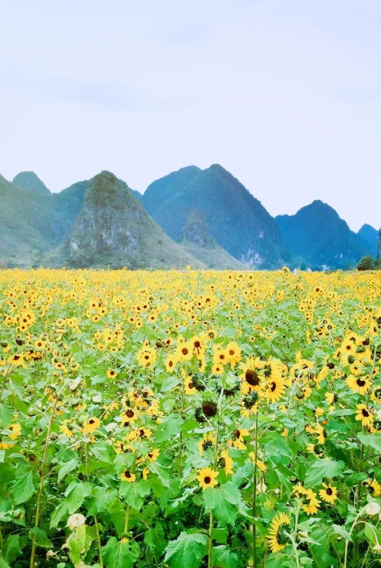 乡村留影 | 规划师的乡野旅行游记