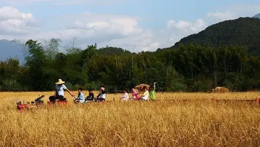 读懂广州|一江珠水,纵览羊城上下两千年 读懂广州|一江珠水,纵览羊城上下两千年