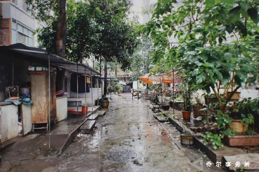 城市 | 福州华塑小区不完全田野调查 城市 | 福州华塑小区不完全田野调查