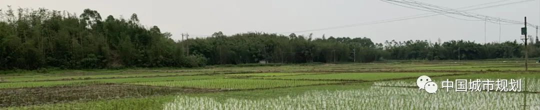 【投稿】“居”有所思:从“人世间”到“心居” 【投稿】“居”有所思:从“人世间”到“心居”
