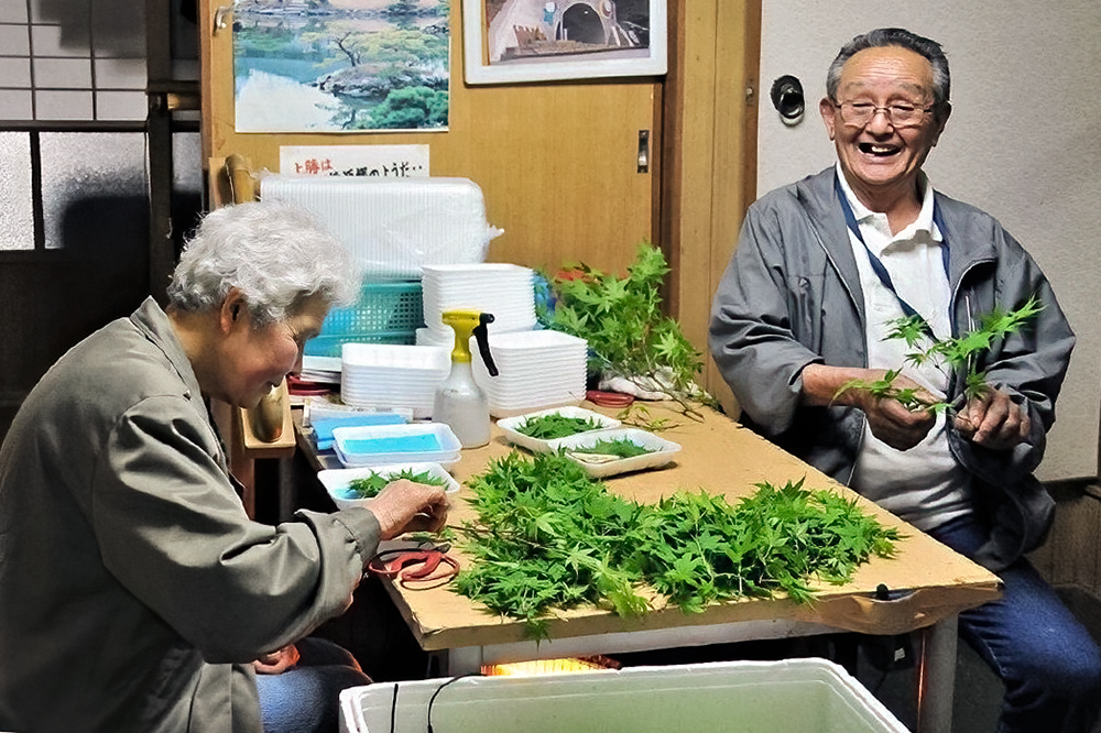 日本乡村振兴的「四大金刚」
