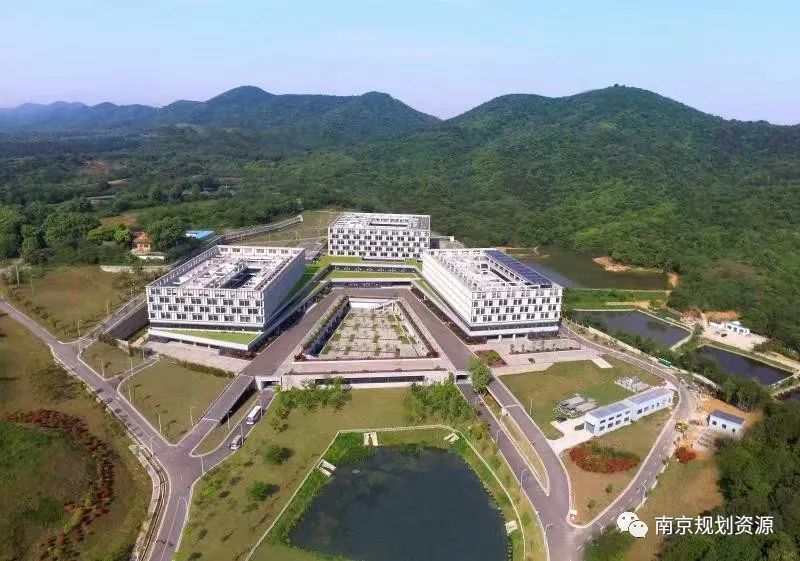 战疫情，创新做优重大项目保障不松劲