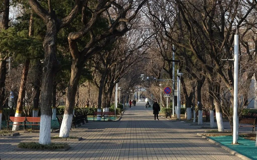 正义路街心花园下,有条御河七百岁 正义路街心花园下,有条御河七百岁