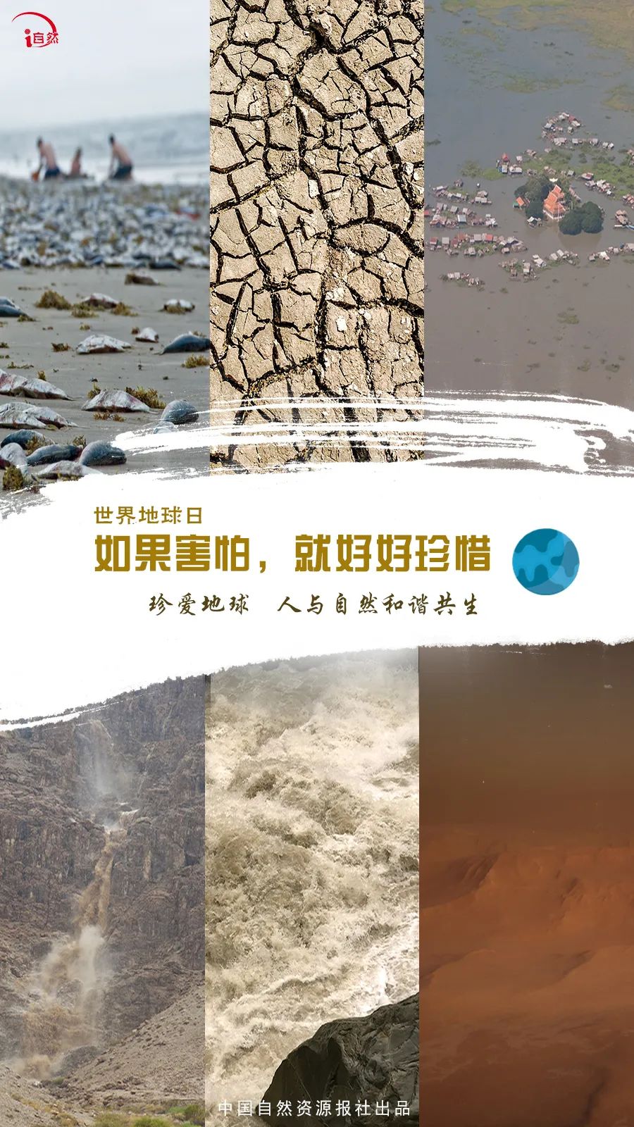 如果_____，那就好好珍惜