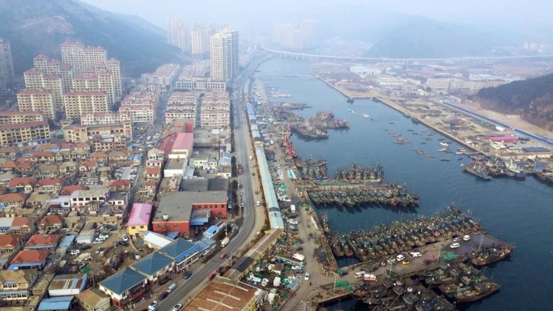 渔村进化论、文化新渔港——哈工大团队寒地毕设城市设计阶段的思考与解读