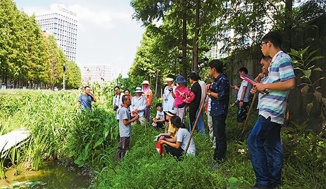 共治的景观 —— 上海社区花园公共空间更新与社会治理融合实验