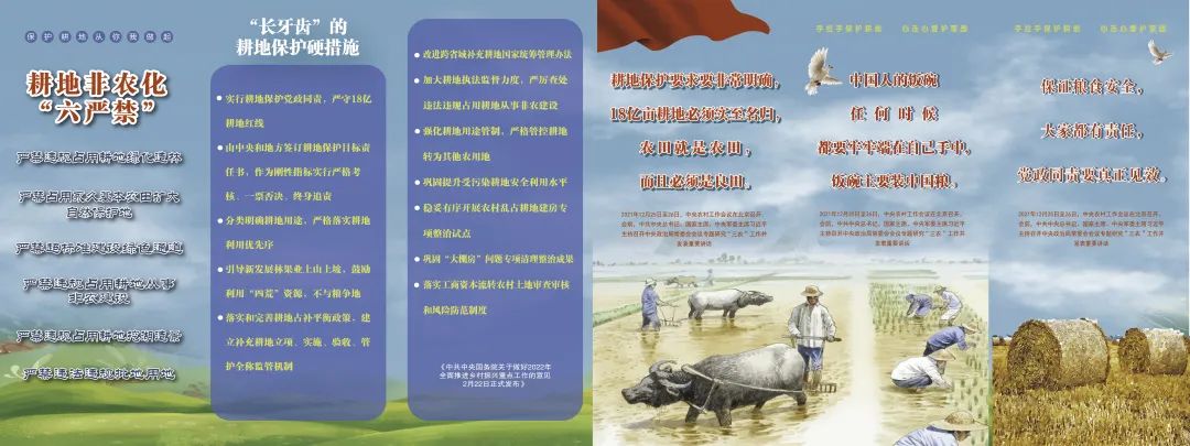 淳安200余名国土干部深入田间地头 走家入户宣传耕地保护 淳安200余名国土干部深入田间地头 走家入户宣传耕地保护