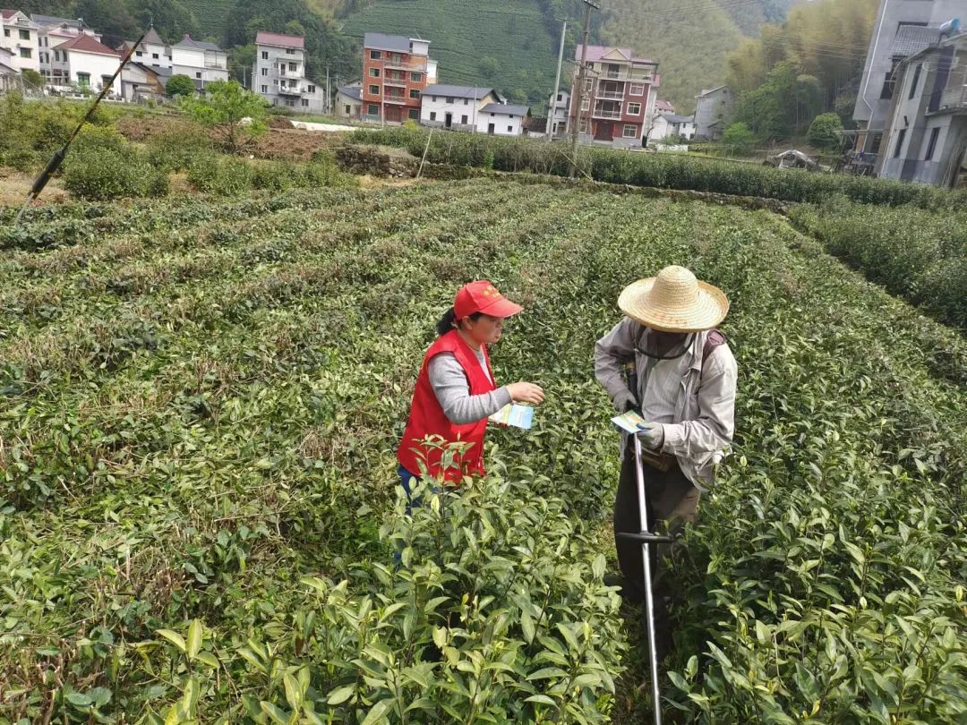 淳安200余名国土干部深入田间地头 走家入户宣传耕地保护 淳安200余名国土干部深入田间地头 走家入户宣传耕地保护