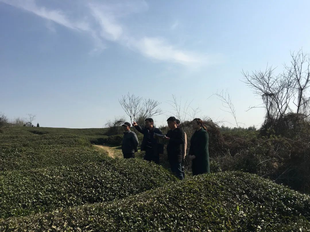 安徽泾县:丈量大地经纬 摸清资源家底 安徽泾县:丈量大地经纬 摸清资源家底