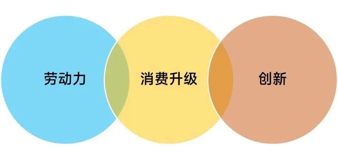 图说城市更新行动：理解、模式、方法