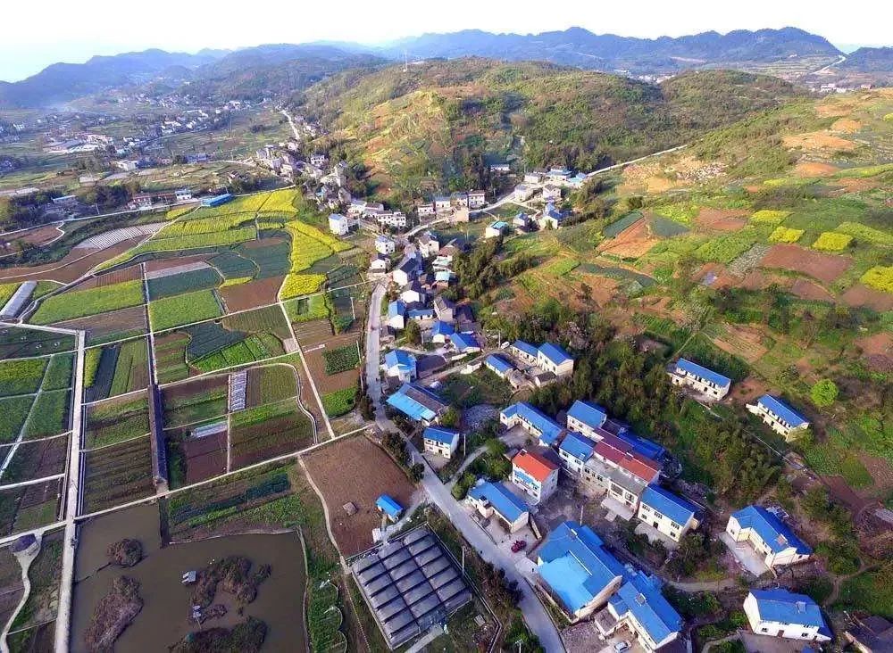 尹稚：城乡双向流动是乡村振兴的重要途径