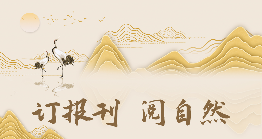 驻守专家谈地灾防御丨黄土地区这么办