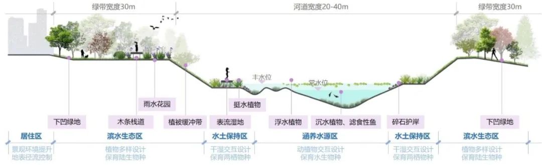 碳中和目标下高密度城区碧水之道