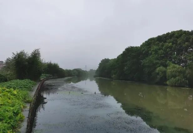 《杭州大运河国家文化公园规划》系列报道之六：浙东运河首邑 千年再奏华章︱萧山篇