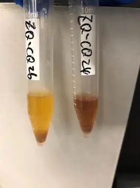 重点项目|肇庆古城墙修缮工程中的材料研究 重点项目|肇庆古城墙修缮工程中的材料研究
