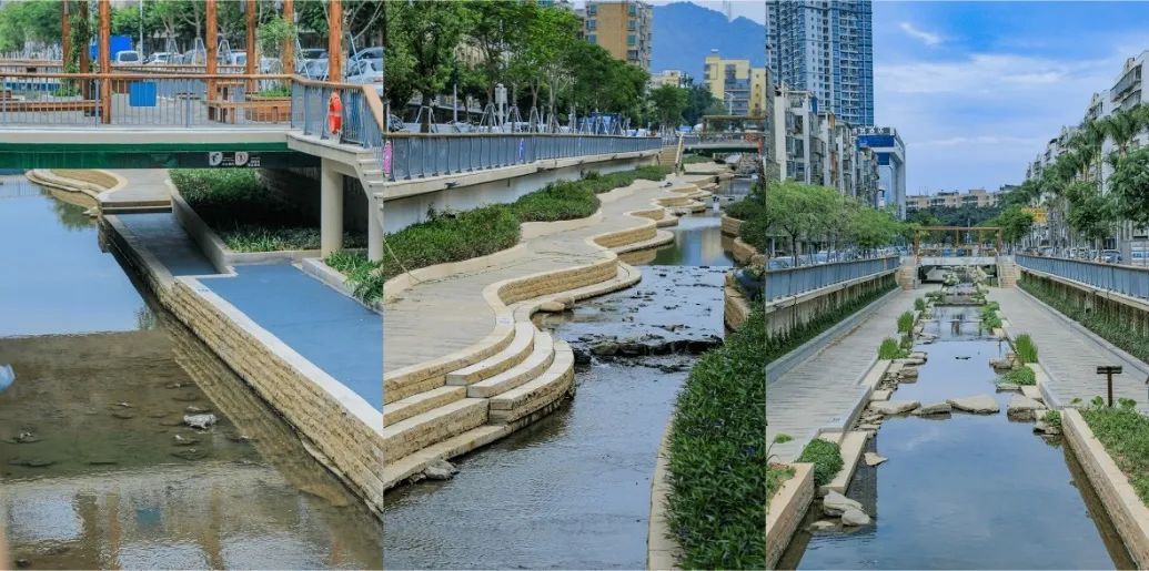 碳中和目标下高密度城区碧水之道 碳中和目标下高密度城区碧水之道