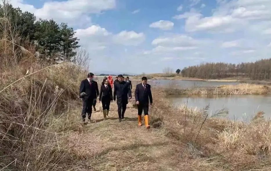 最高检发布典型案例,涉及黑土地、湿地保护等 最高检发布典型案例,涉及黑土地、湿地保护等