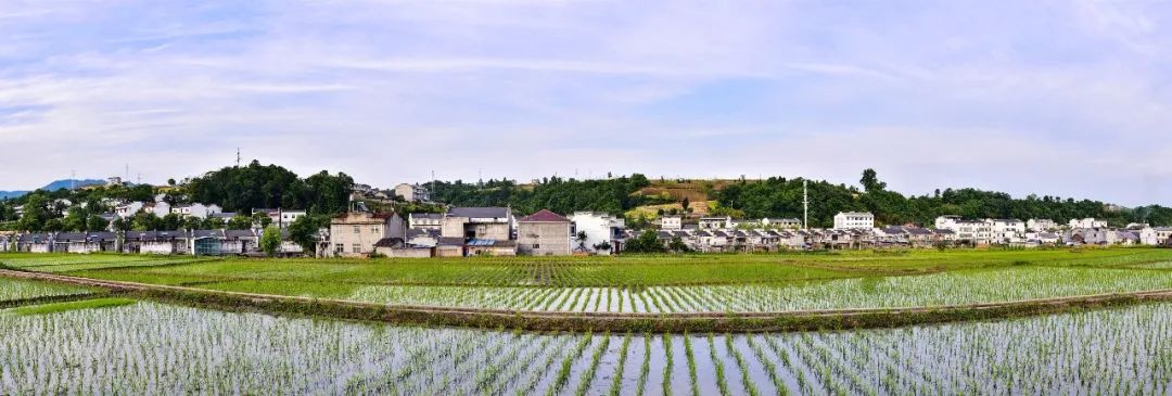 大美中国·i自然 | 水润田畴农事忙