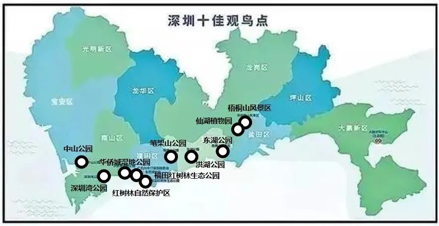 碳中和目标下高密度城区碧水之道 碳中和目标下高密度城区碧水之道