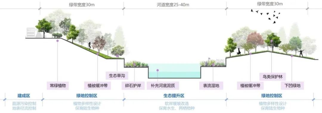 碳中和目标下高密度城区碧水之道